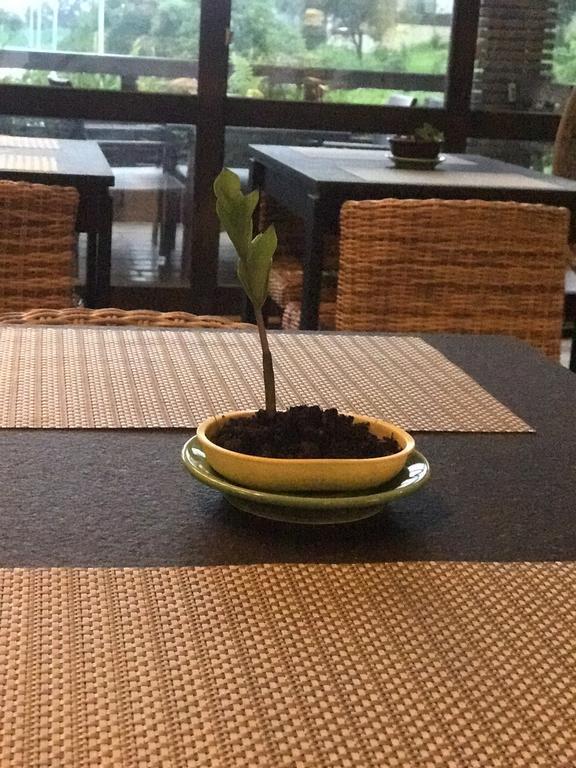 Most Natural Hotel Jiaoxi Luaran gambar